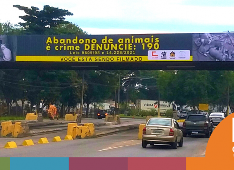 Nesta quinta-feira (15/06), a Ceasa/RJ em Irajá reinstalou, na entrada Sul, um banner de 20m de comprimento por 2m de altura conscientizando sobre o abandono de animais 